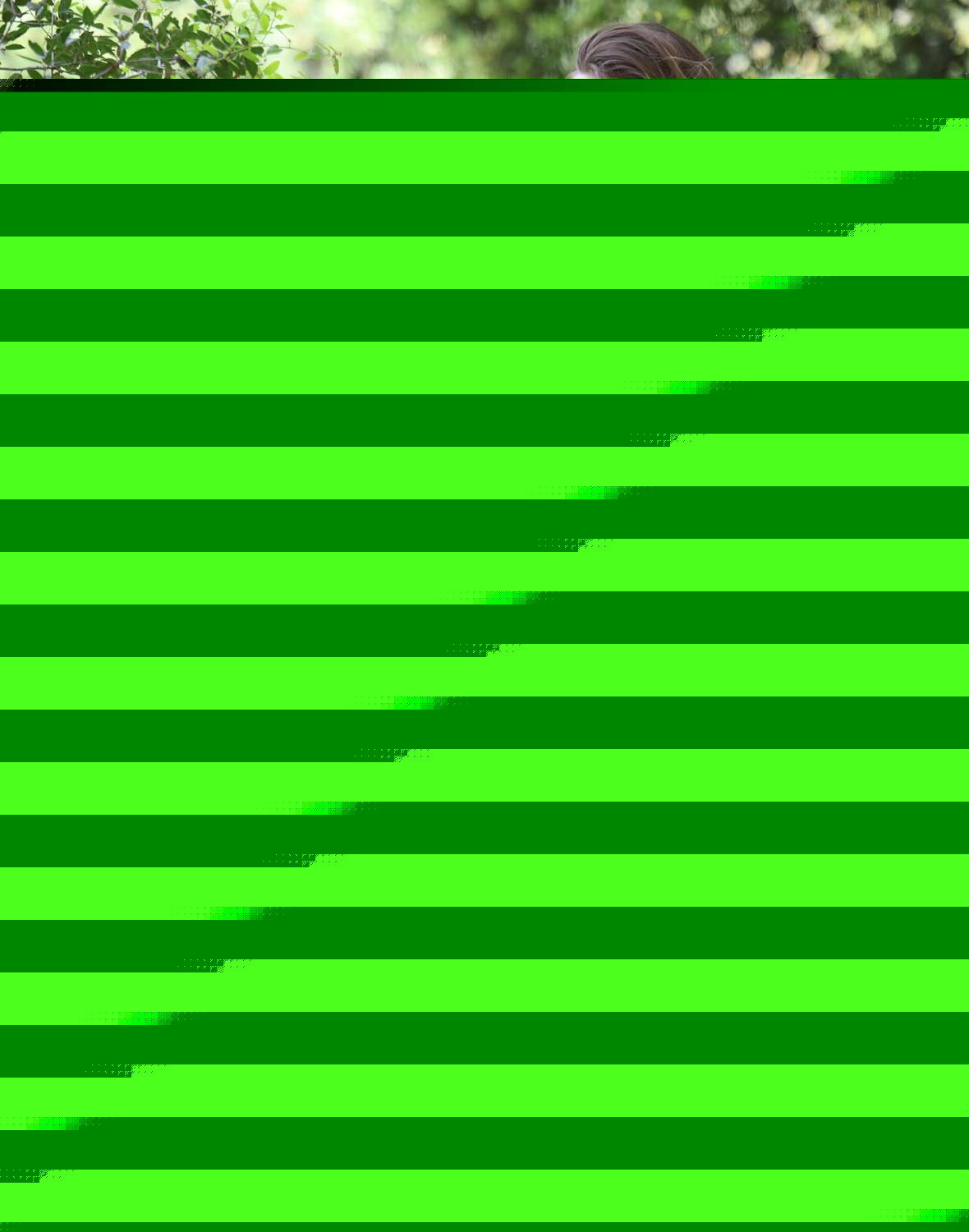 VARDI-447-2